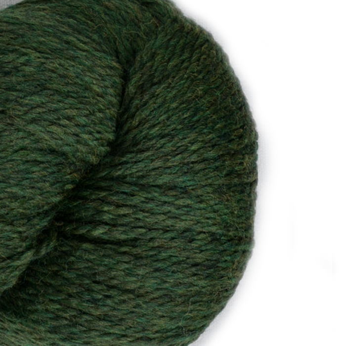 Cascade Eco+ (non-superwash)  |  Peruvian Highland Wool