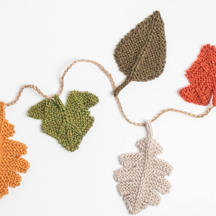 Blue Sky Fibers Fall Festival Bundle  |  100% Fine Highland Wool