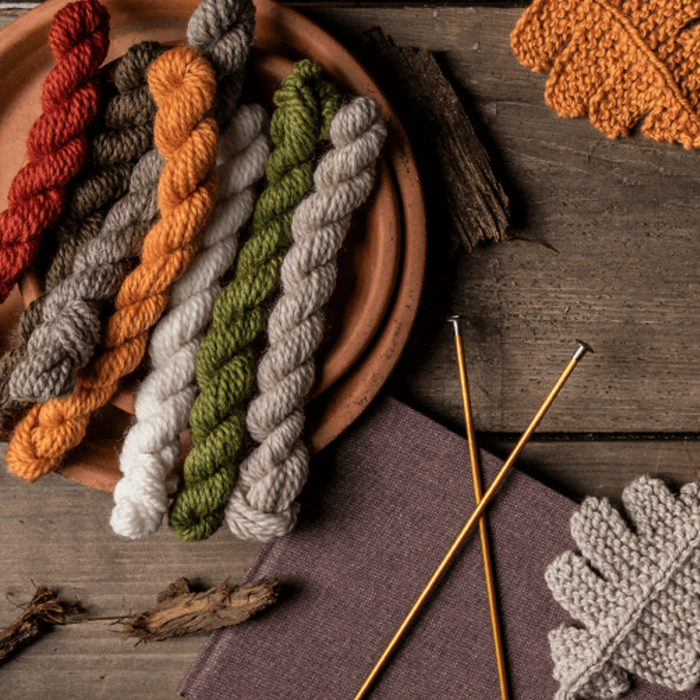 Blue Sky Fibers Fall Festival Bundle  |  100% Fine Highland Wool