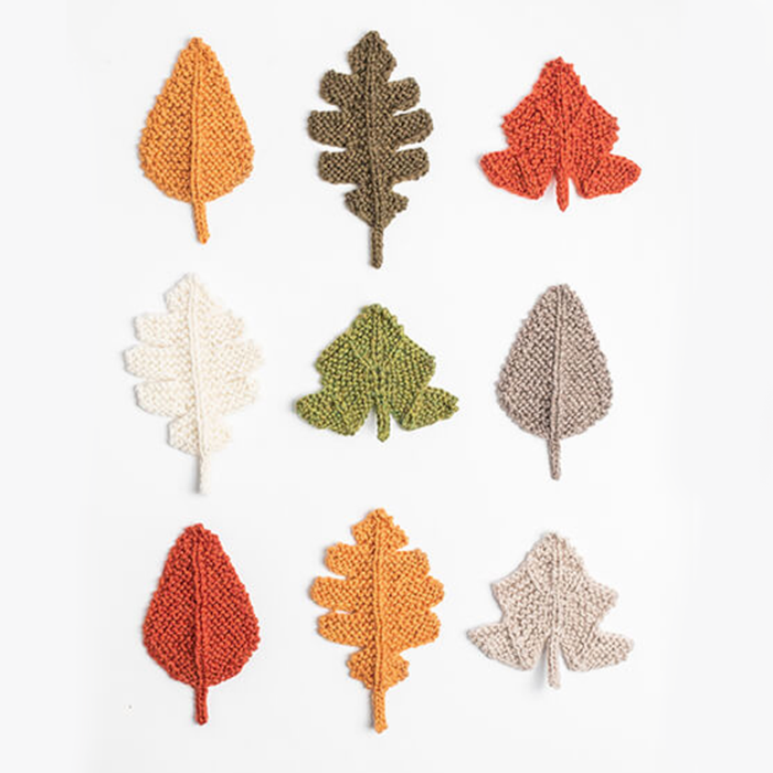 Blue Sky Fibers Fall Festival Bundle  |  100% Fine Highland Wool