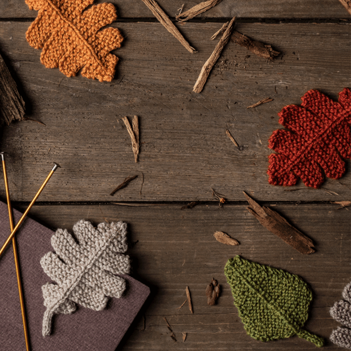 Blue Sky Fibers Fall Festival Bundle  |  100% Fine Highland Wool