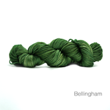<b>Hand-Dyed Worsted/DK Weight</b><br> Inspire a Mind / Hudson