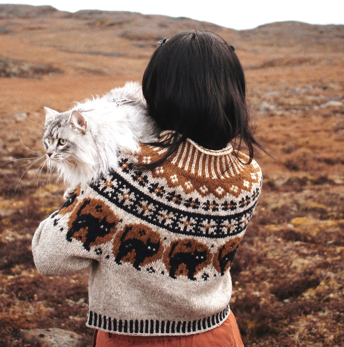 Nocturnal  Jumper by Saskie & Co  | Ravelry PDF