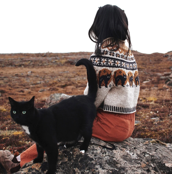 Nocturnal  Jumper by Saskie & Co  | Ravelry PDF