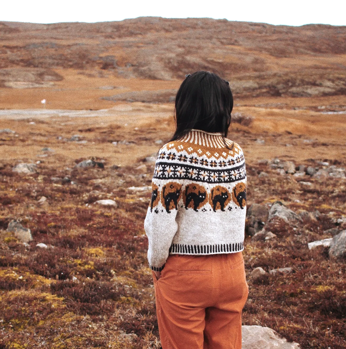 Nocturnal  Jumper by Saskie & Co  | Ravelry PDF