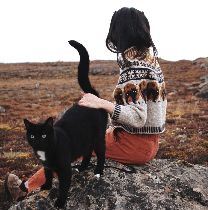 Nocturnal  Jumper by Saskie & Co  | Ravelry PDF
